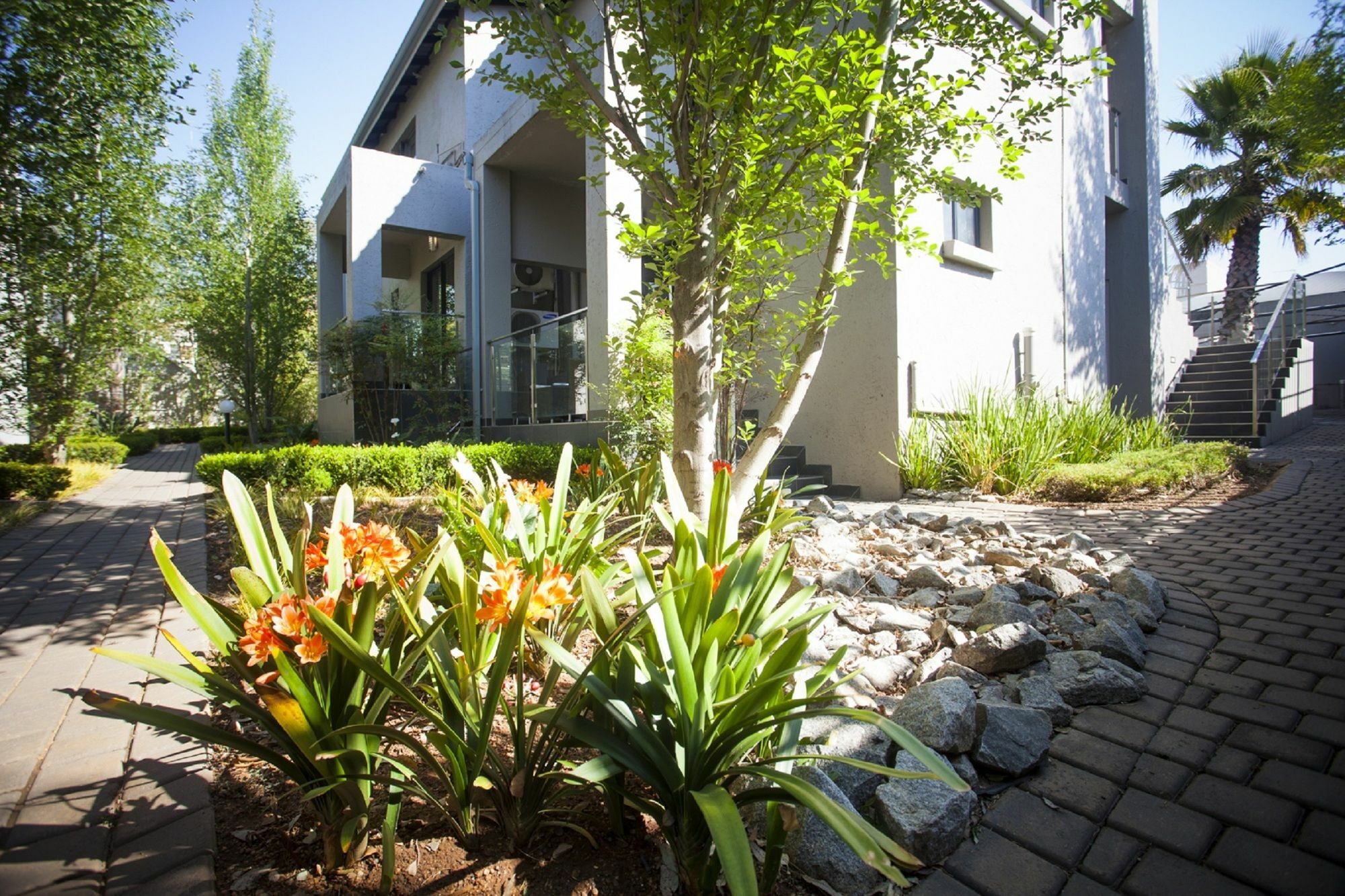 Villa Moyal Johannesburg Exterior photo